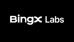 BingX Labs Logo
