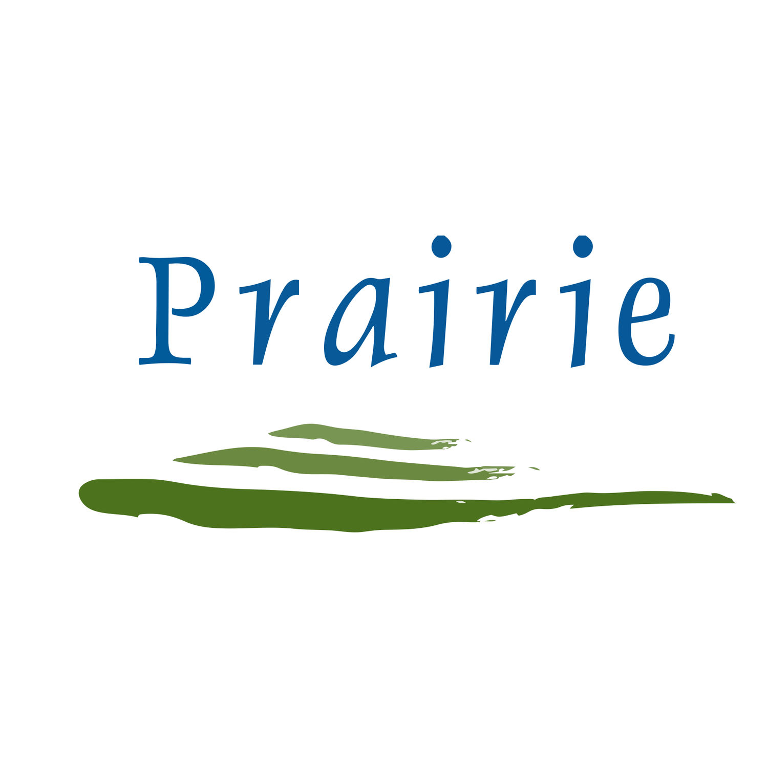Prairie Orthopaedic & Plastic Surgery, PC.