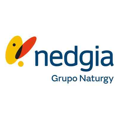 Nedgia