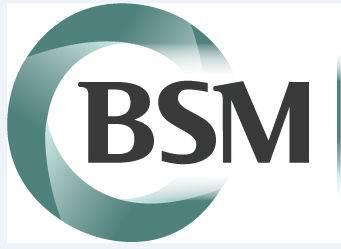 The BSM Consulting Group, Inc.