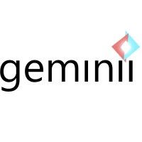 Geminii Inc