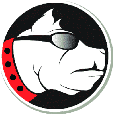 ABBS VISION SYSTEMS, INC.