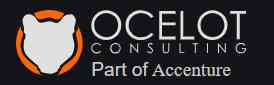 Ocelot Consulting