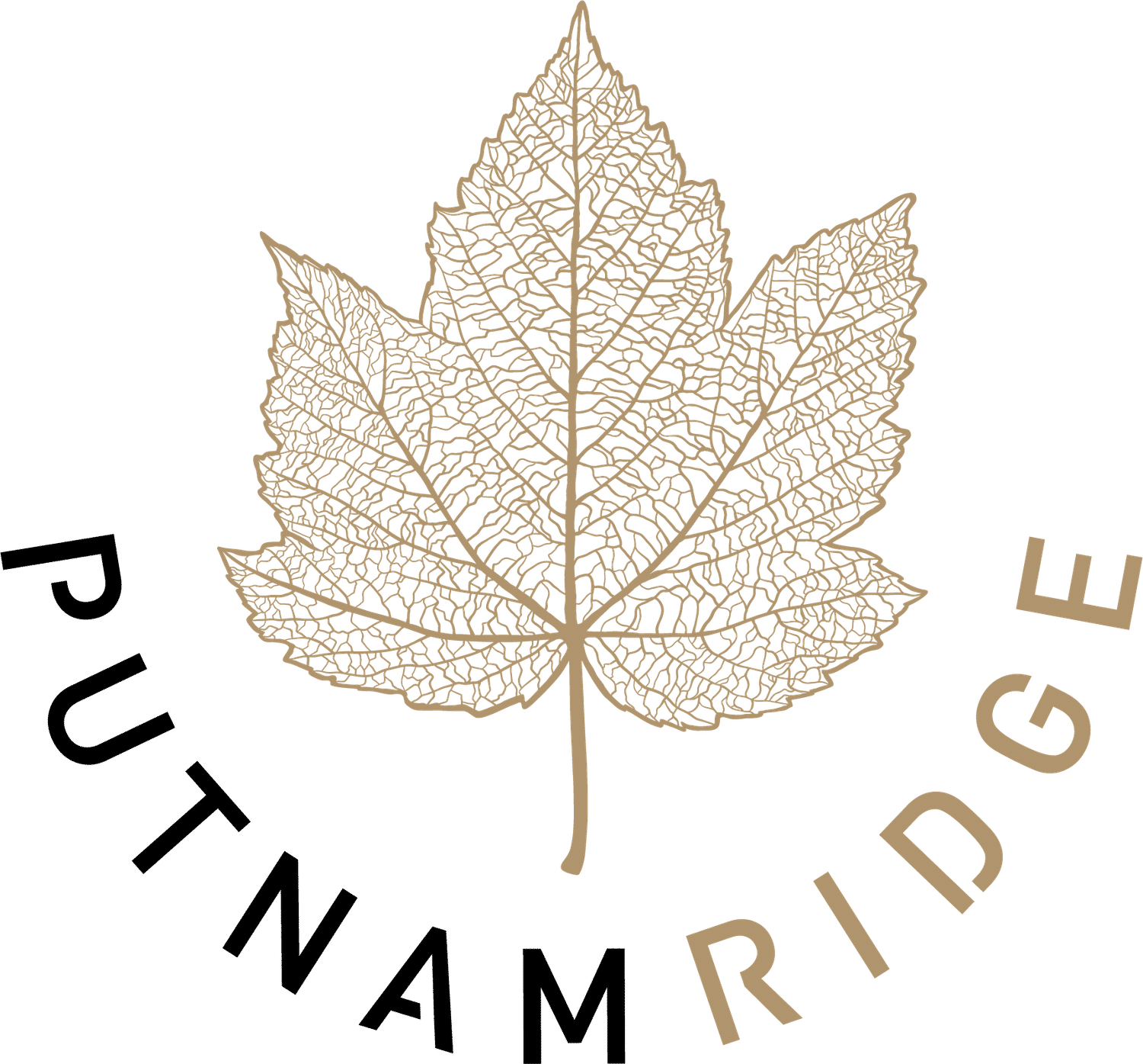 Atlanticare Management LLC