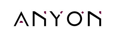 Anyon Systems