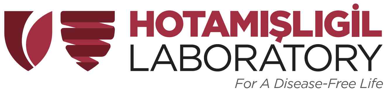 Hotamışlıgil Laboratory