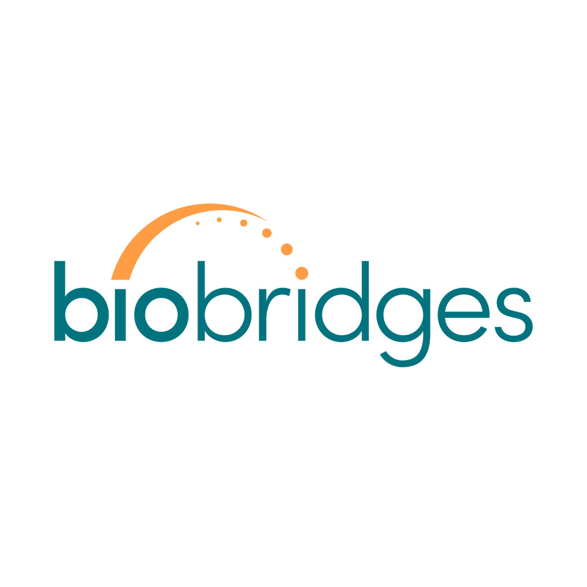 BioBridges LLC