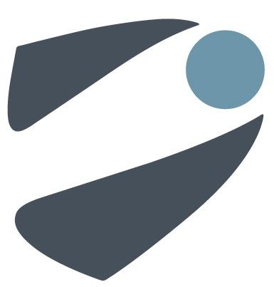 Medical Microinstruments SpA