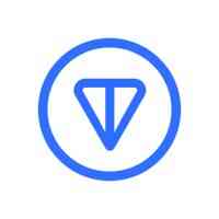 TON Strategy Company