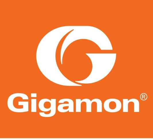 Gigamon