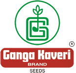 Ganga Kaveri Seeds