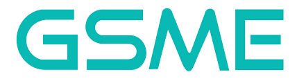 GS Microelectronics