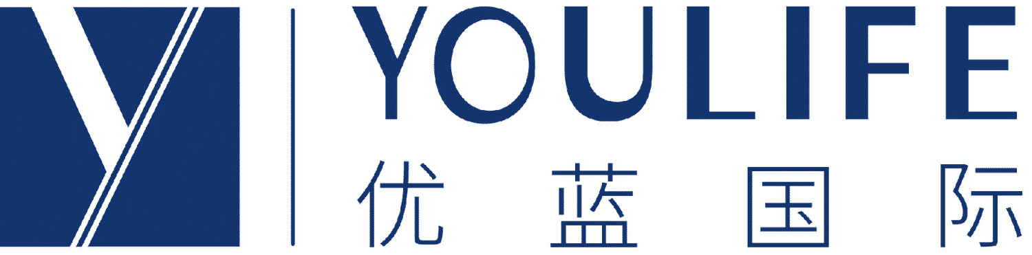 Youlan International