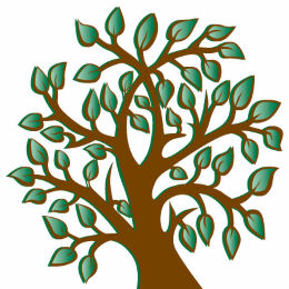 Roanoke Resource, LLC