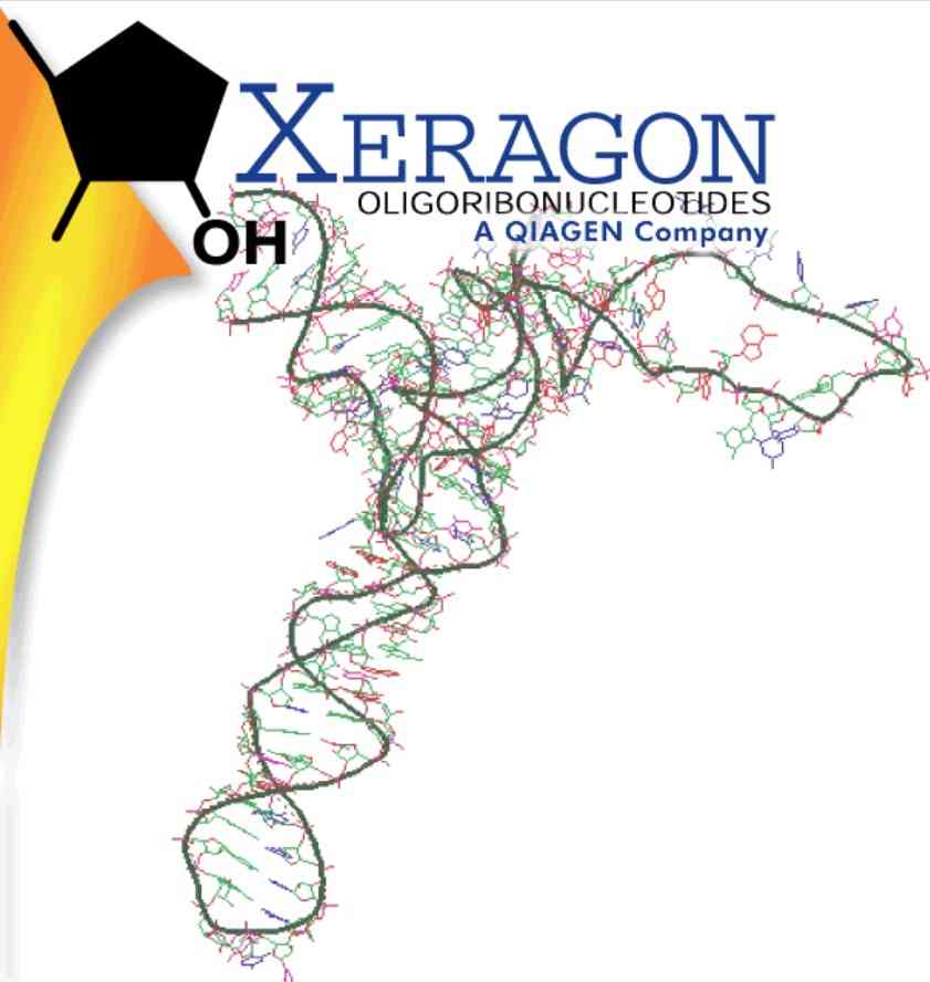 Xeragon