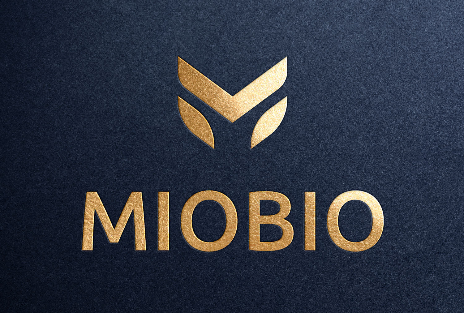 MIOBIO