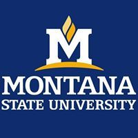 Montana State University