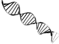 Stream Genomics