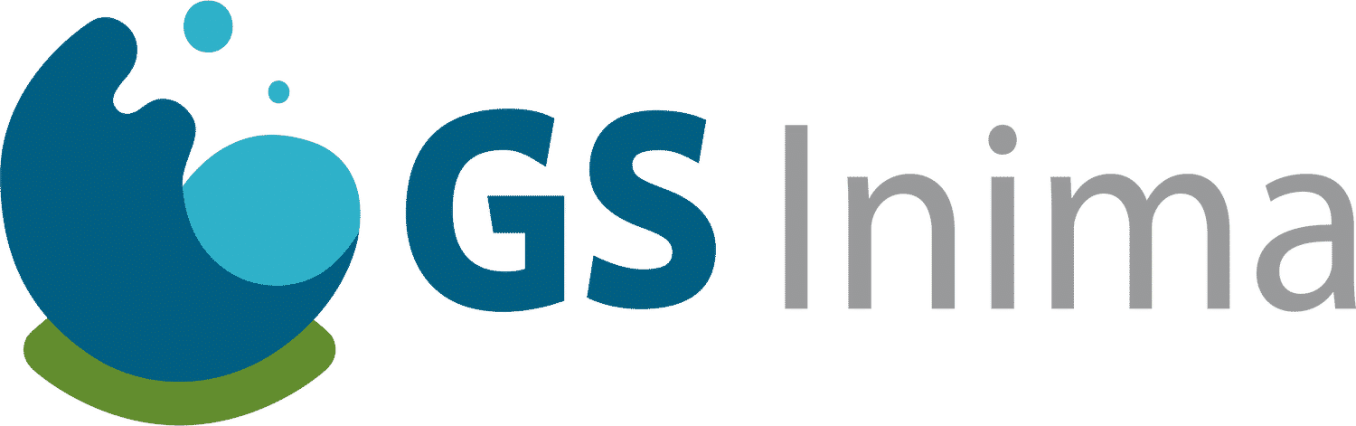 GS Inima