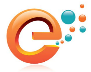Eric Solutions