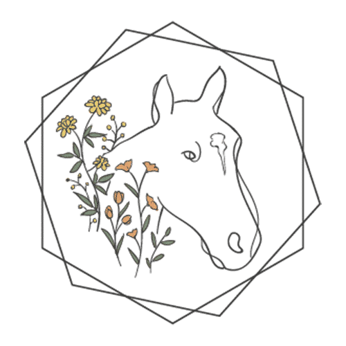 whitestar wellness, s.c.