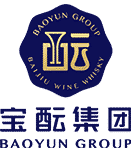 Baoyun Group