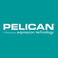 Pelican Inc.