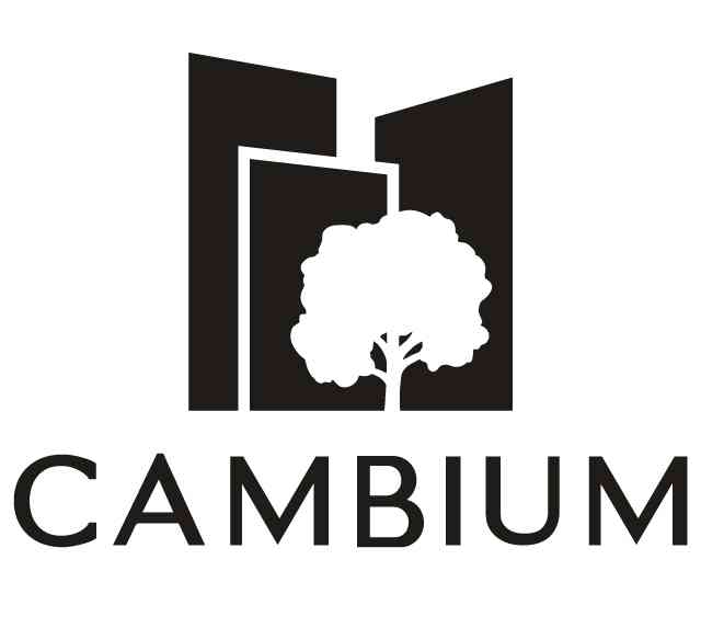 Cambium