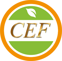 CEF Group