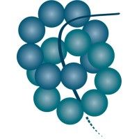 Booster Therapeutics GmbH