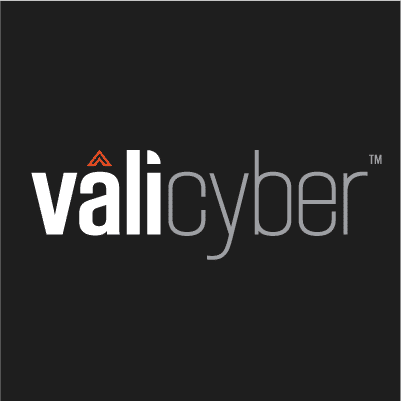 Vali Cyber