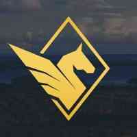 Pegasus Resources
