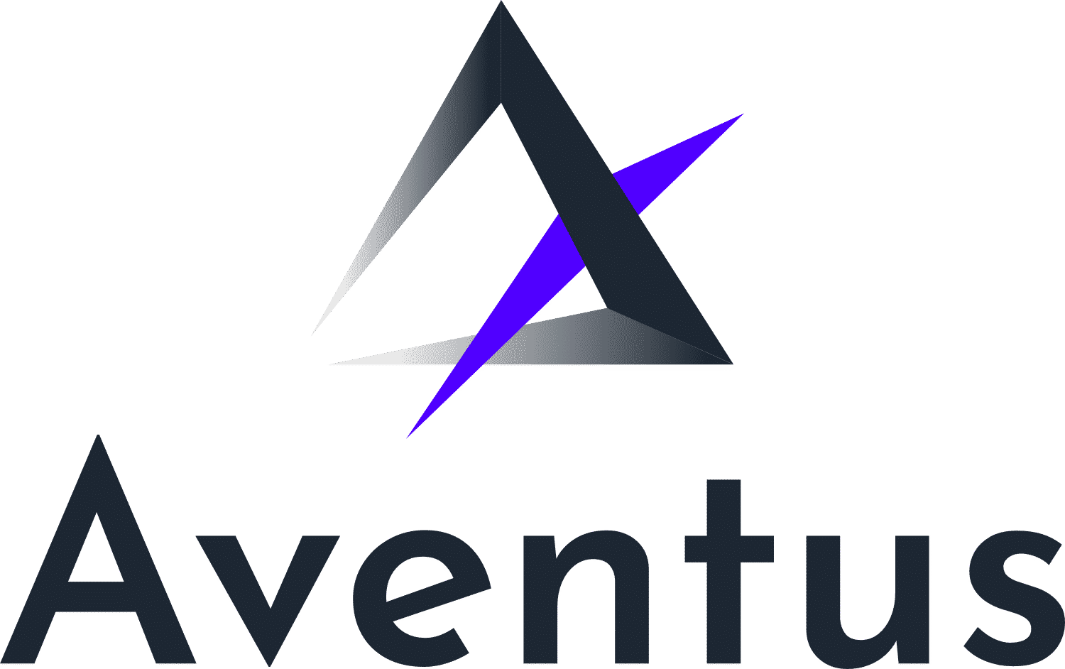 Aventus Network Systems