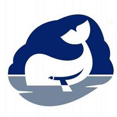Whale