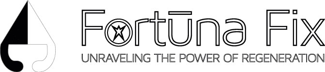 Fortuna Fix Ltd.