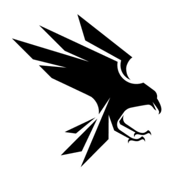 Raven.io