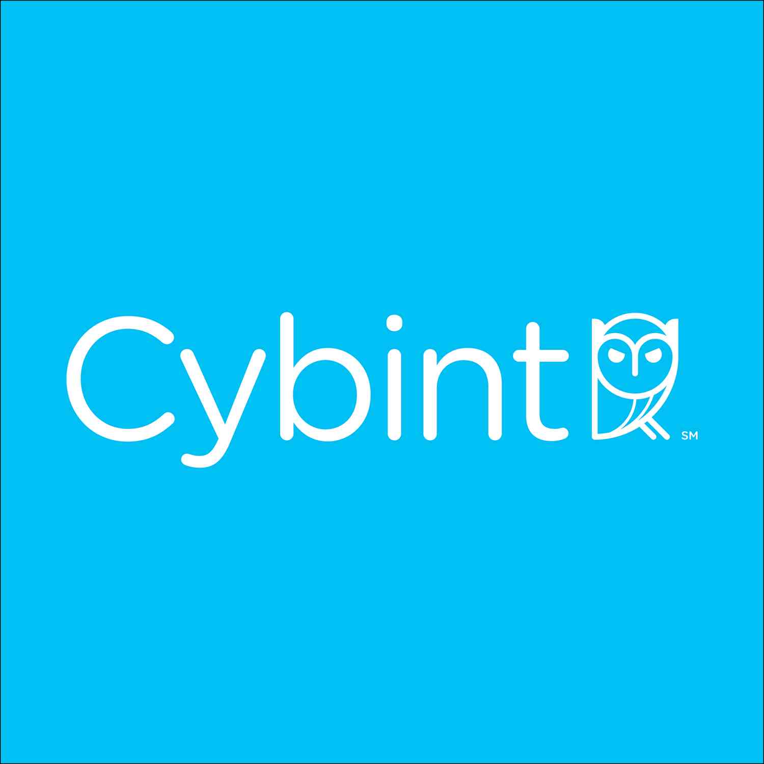 Cybint