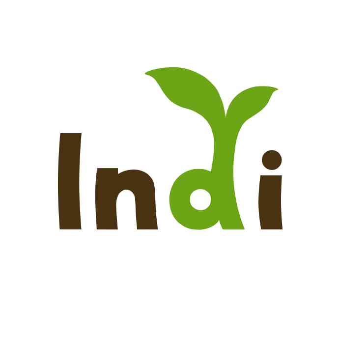 Indigames logo