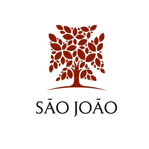 Centro Hospitalar De São João