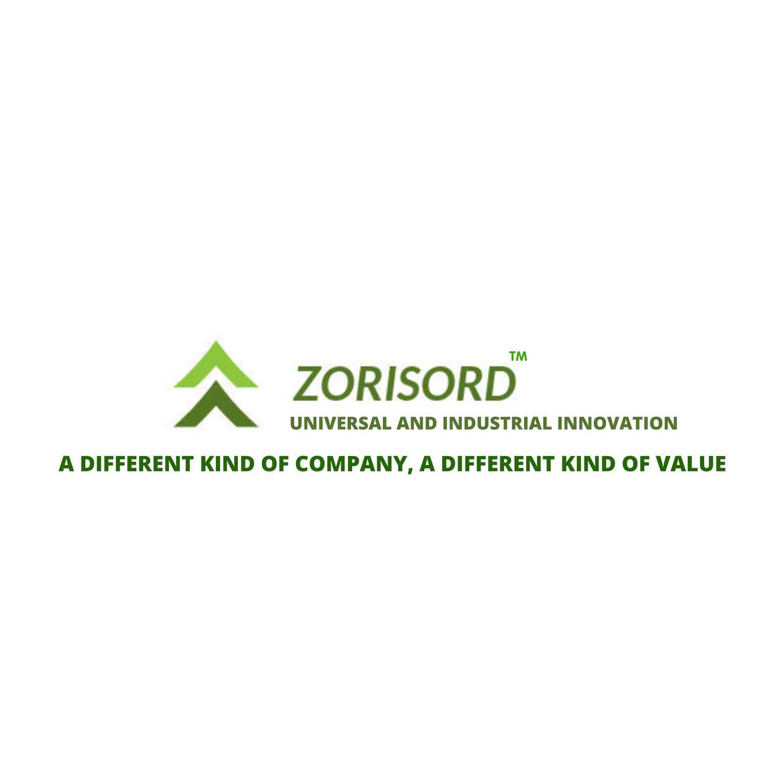 Zorisord Group Limited