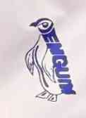 Penguin Engineering & Construction