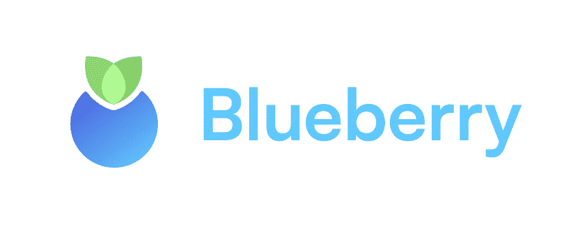 Blueberry Protocol logo
