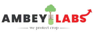 Ambey Laboratories Limited