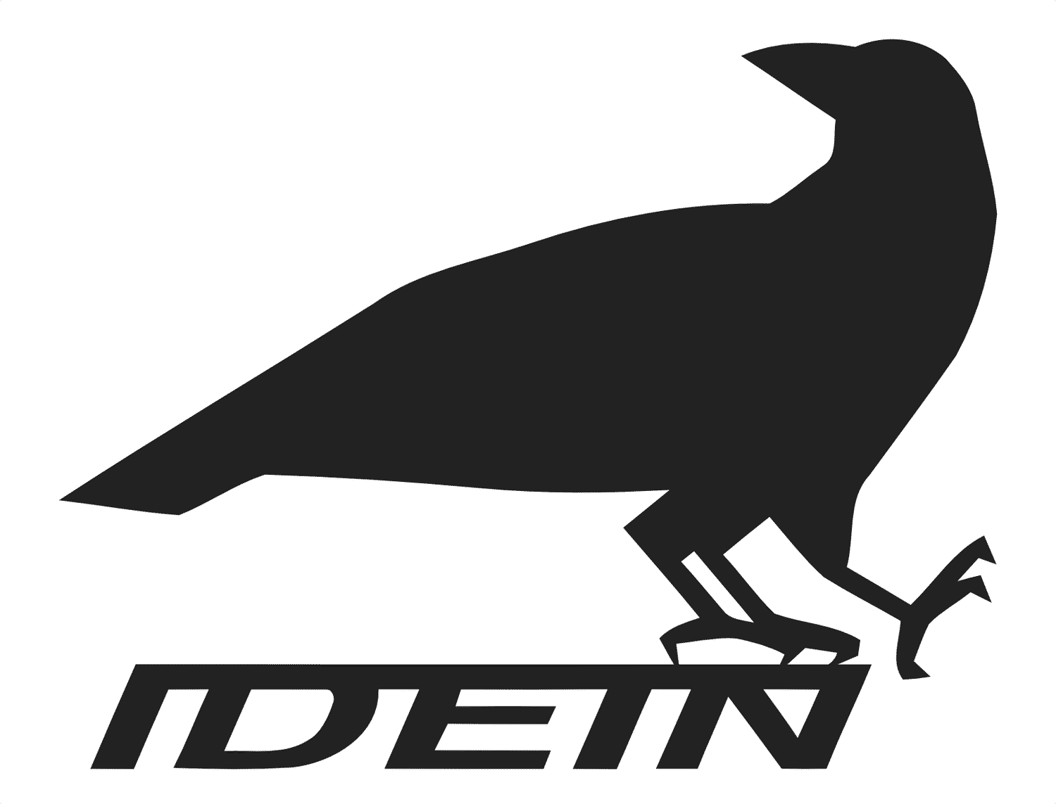 Idein