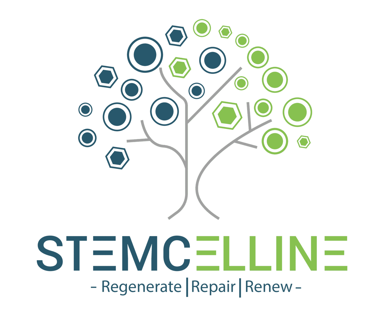STEMCELLINE PRIVATE LIMITED