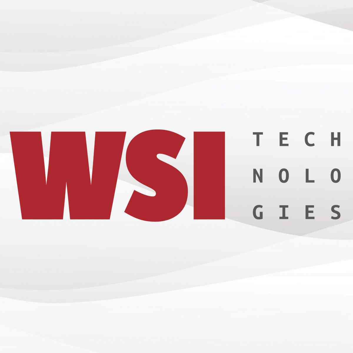 WSI Technologies