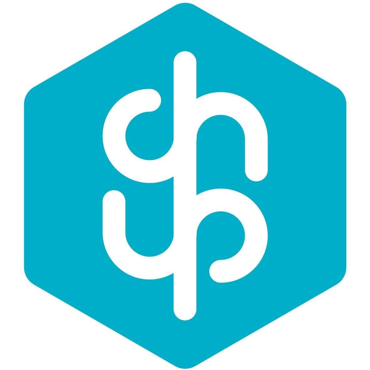 Institute of Chemical Process Fundamentals of the CAS