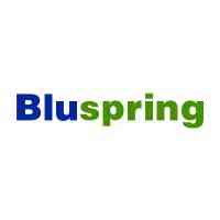Bluspring Enterprises