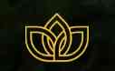 Terrace Global