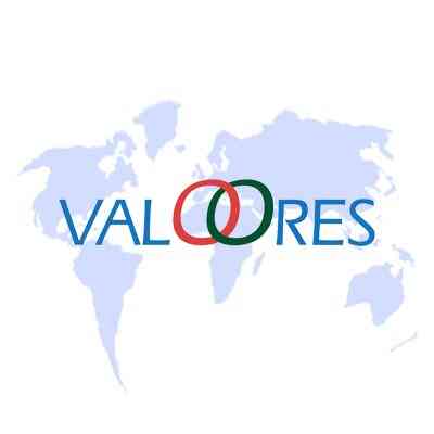 Valoores logo